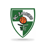 FK Kauno Žalgiris